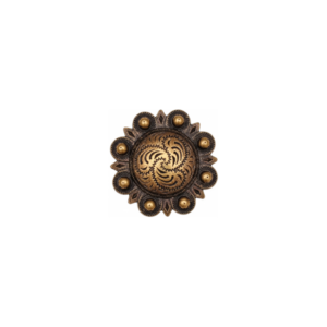 Stunning 1 11/16" Antique Brass Domed Concho with Berries