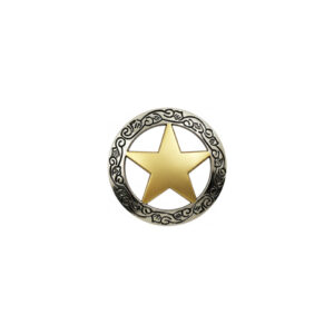 silver texas ranger gold star concho